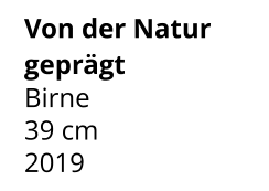 Von der Natur geprägt Birne 39 cm    2019