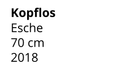 Kopflos Esche 70 cm    2018