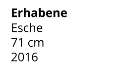Erhabene Esche 71 cm    2016