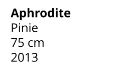 Aphrodite Pinie 75 cm    2013