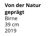 Von der Natur geprägt Birne 39 cm    2019