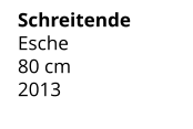 Schreitende Esche 80 cm    2013