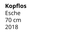 Kopflos Esche 70 cm    2018