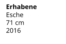 Erhabene Esche 71 cm    2016