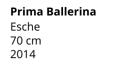 Prima Ballerina Esche 70 cm    2014