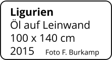 Ligurien   Öl auf Leinwand 100 x 140 cm    2015    Foto F. Burkamp